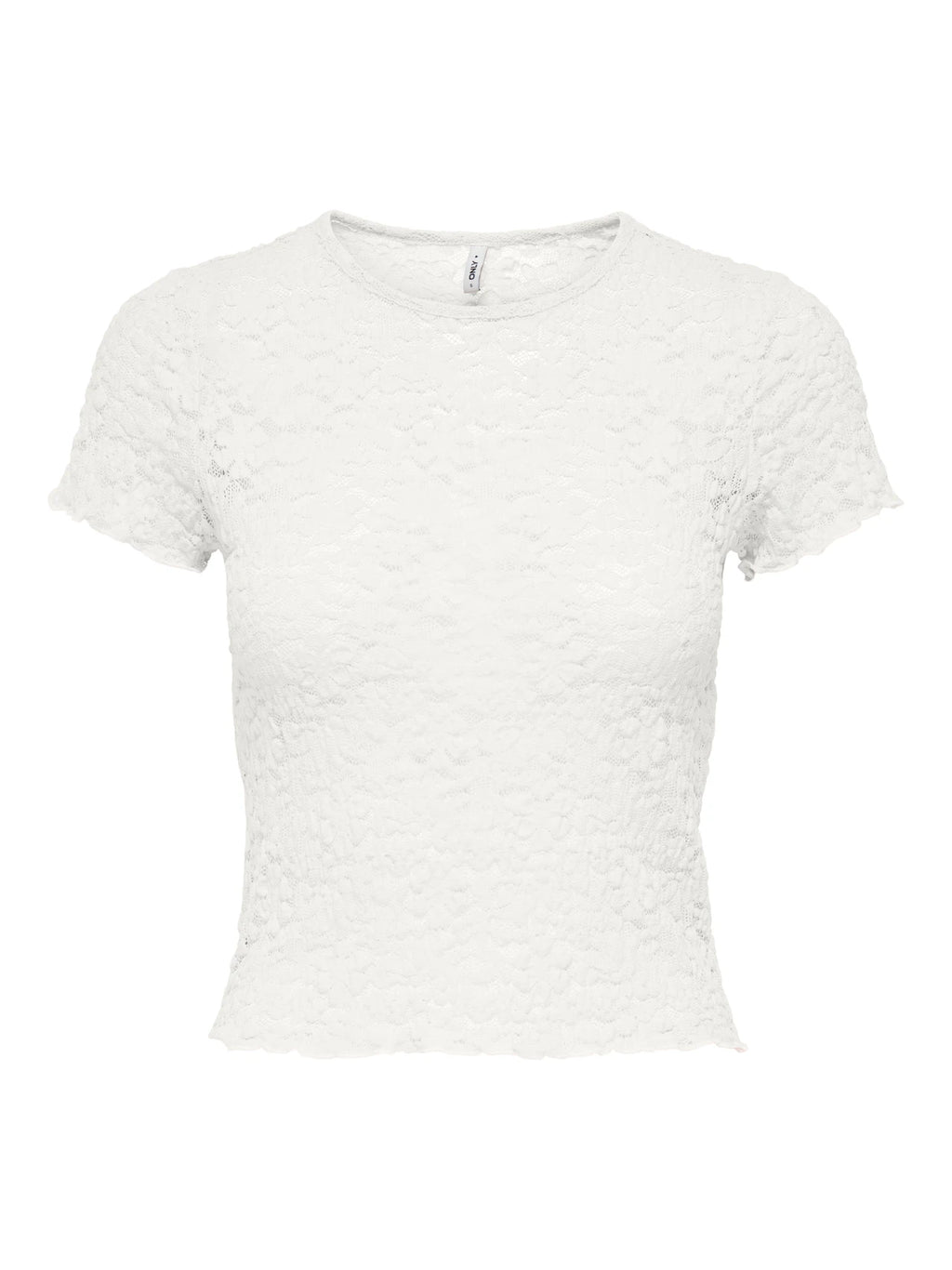 T-shirt Only
