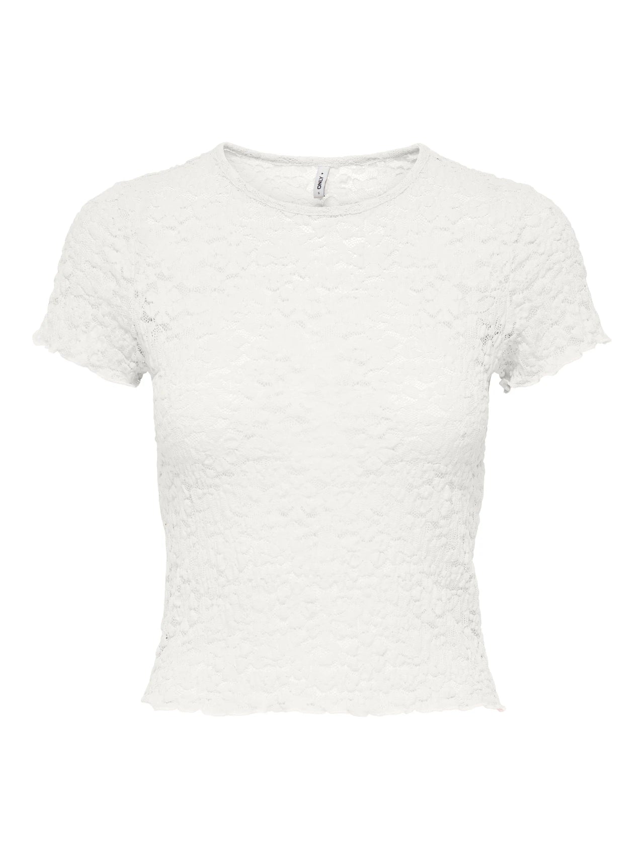 T-shirt Only