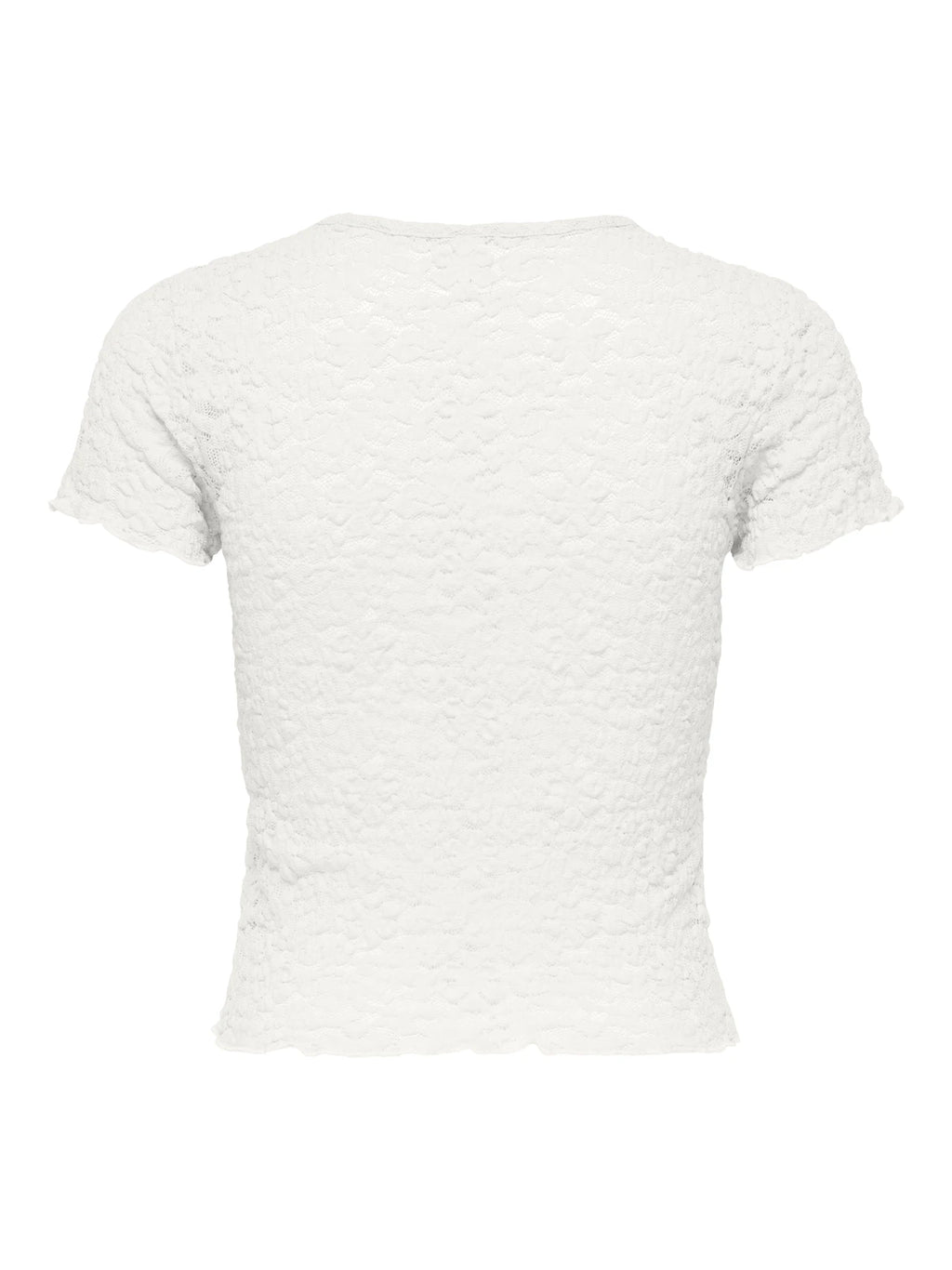 T-shirt Only