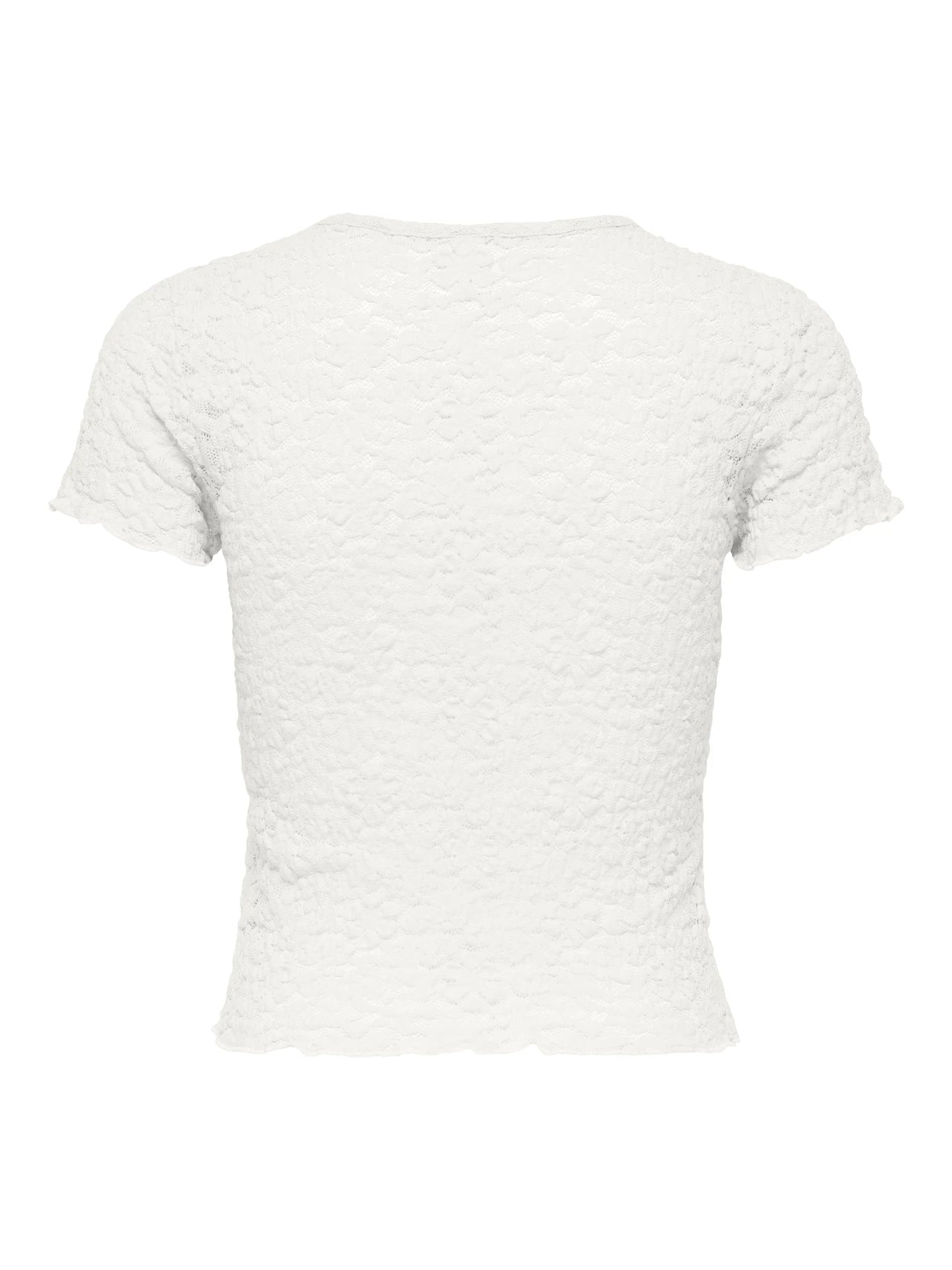 T-shirt Only