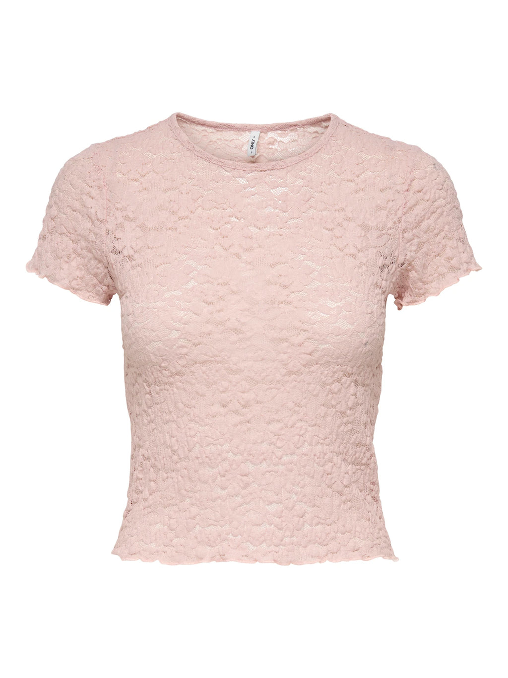 T-shirt Only