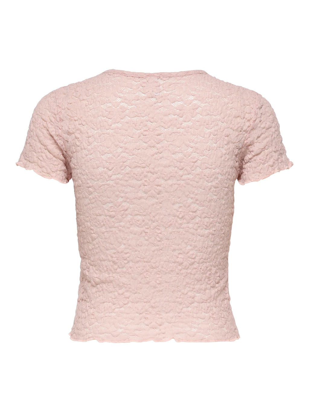 T-shirt Only